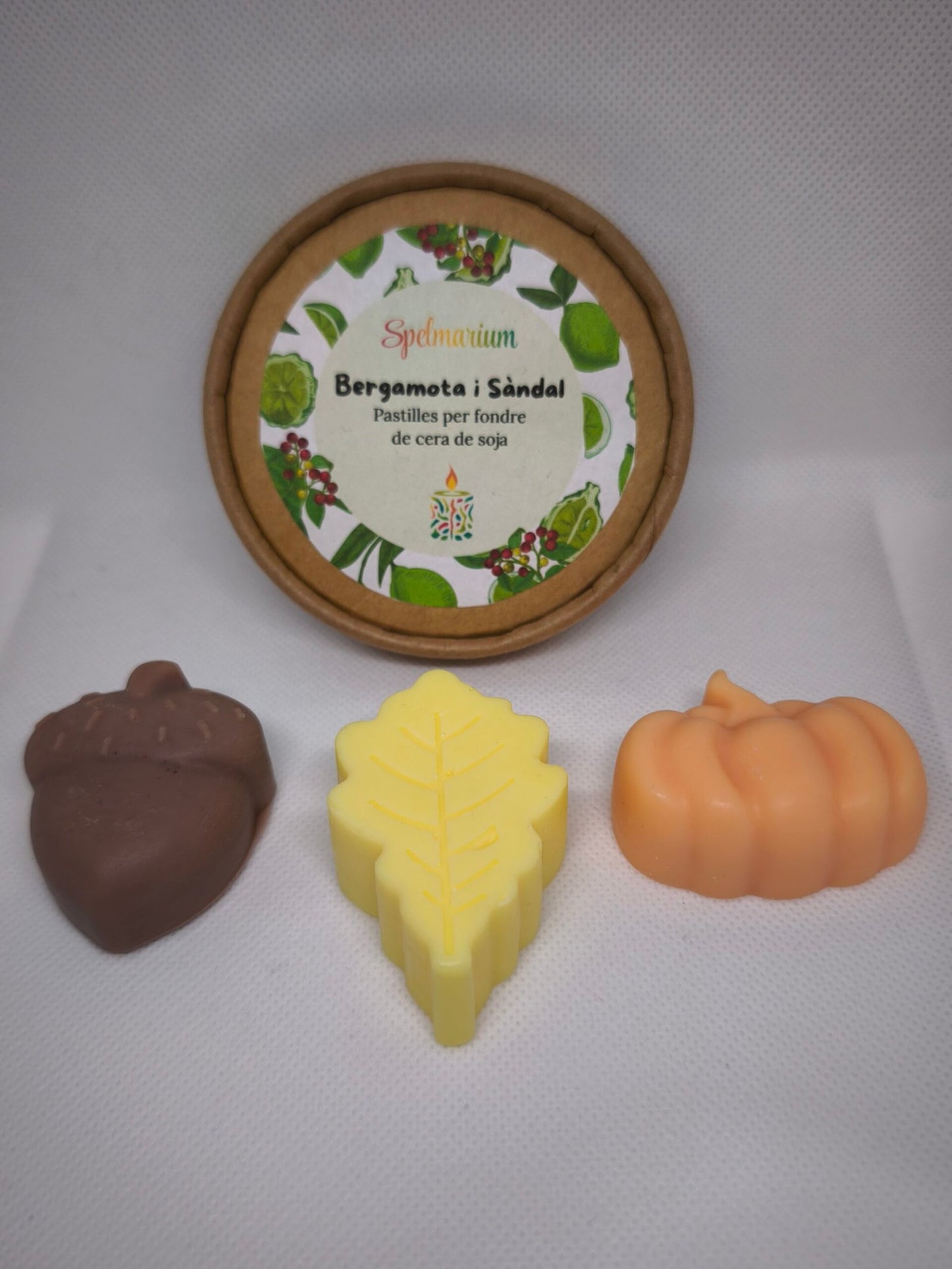 Wax Melts artesanales – Aroma intenso sin llama