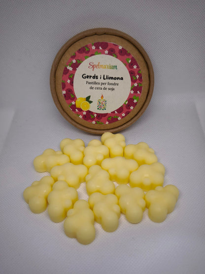 Wax Melts artesanales – Aroma intenso sin llama